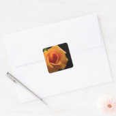 Levendig oranje roos print accessoires cadeaus vierkante sticker (Envelop)