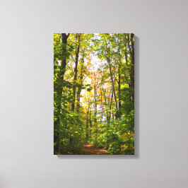 Levendig pad in het bos canvas afdruk