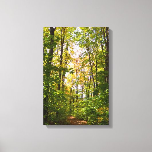Levendig pad in het bos canvas afdruk (Voorkant)