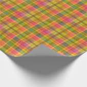 Levendig potlood kleur geruite patroon cadeaupapier (Hoek)
