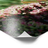 Levendig Praying Mantis Insect 10x8 Natuur Foto Afdruk (Hoek)