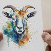 Levendig Rainbow Goat Portret Briefkaart