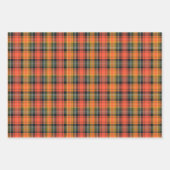 Levendig Sinaasappel, groen & goud geplakt Inpakpapier Vel (Voorkant 3)