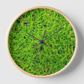 Levendig smaragdgroen grasveldgras (Voorkant)