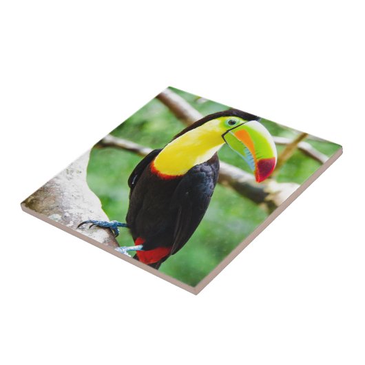 Levendig touchbaar tegeltje (Zijkant)