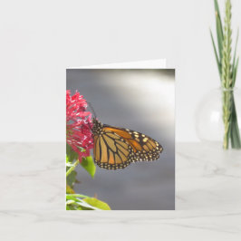 Levendig Tropisch Vlinder Gevouwen Wenskaart Kaart