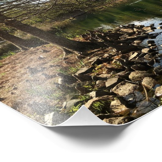 Levendig Uitzicht door het meer Foto Afdruk (Hoek)