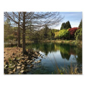 Levendig Uitzicht door het meer Foto Afdruk (Voorkant)