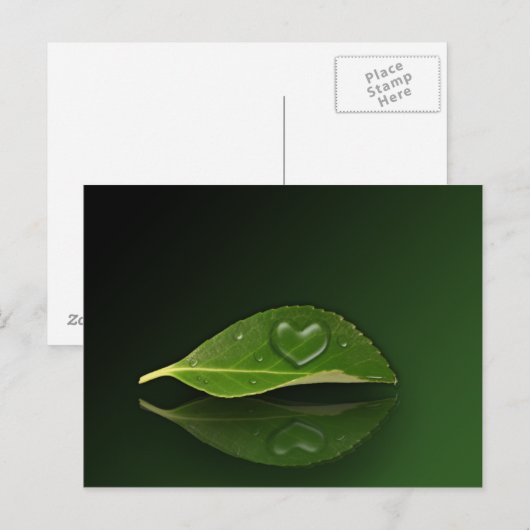 Levendig warm water op leder briefkaart (Voorkant / Achterkant)