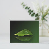 Levendig warm water op leder briefkaart (Staand voorkant)