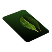 Levendig warm water op leder magneet (Rechterzijde)