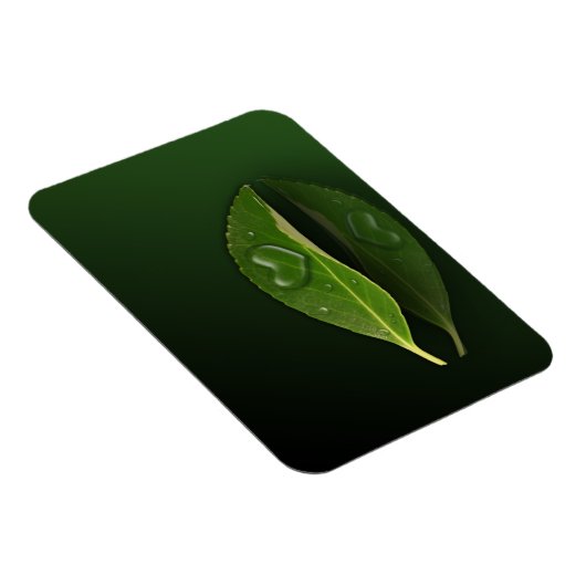 Levendig warm water op leder magneet (Rechterzijde)