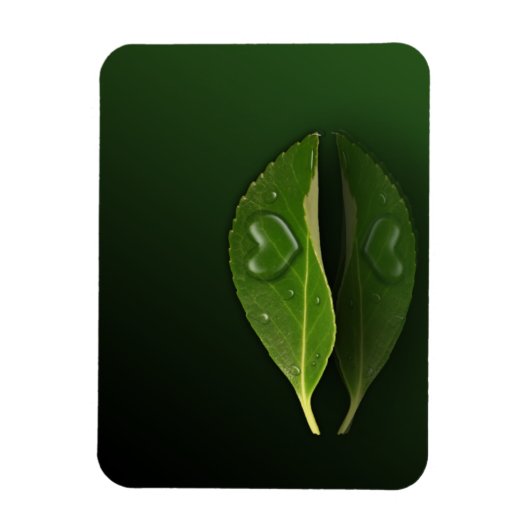 Levendig warm water op leder magneet (Verticaal)