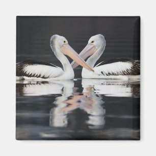 Levendig water Pelican Reflections Magnet