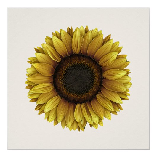 Levendig Zonnebloem Botanische Kunst Ontwerp Perfect Poster (Voorkant)