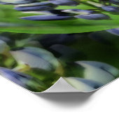 Levendige Abstracte Floral Kunst Poster (Hoek)