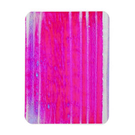 Levendige Abstracte Roze en Paarse Strepen Art Magneet