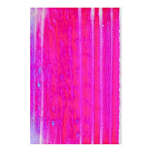 Levendige Abstracte Roze en Paarse Strepen Art