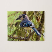 Levendige achtertuin Blue Jay - 8x10 - 110 pc. Legpuzzel (Horizontaal)