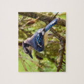 Levendige achtertuin Blue Jay - 8x10 - 110 pc. Legpuzzel (Verticaal)