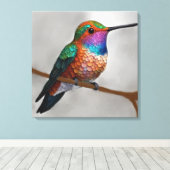 Levendige Allen's Kolibrie Schildering Canvas Afdruk (Insitu (Houten vloer))