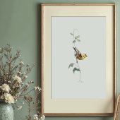 Levendige Amerikaanse Goldfinch Waterverf Art Poster