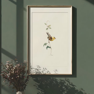 Levendige Amerikaanse Goudvink Aquarel Kunst Poster