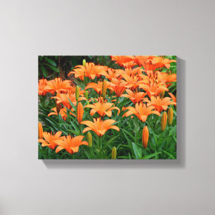 Levendige Aziatische Lelies Canvas Afdruk
