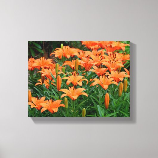 Levendige Aziatische Lelies Canvas Afdruk (Voorkant)
