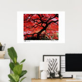 Levendige bladeren - foto van de finalist van het  poster (Thuiskantoor)