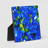 Levendige Blauwe Bougainvillea Bloemen Fotoplaat (Voorkant)