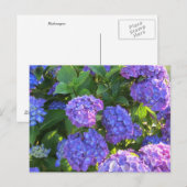 Levendige Blauwe en Paarse Hydrangea's Briefkaart (Voorkant / Achterkant)