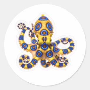 Levendige Blauwe Ring Octopus Decal - Exotische Ma Ronde Sticker