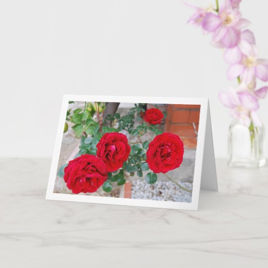 Levendige bloem rode rozen kaart (Orchidee)