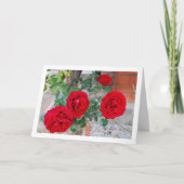 Levendige bloem rode rozen kaart (Voorkant)