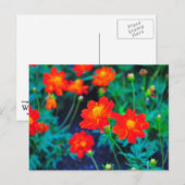 Levendige bloemen postkaart (Voorkant / Achterkant)