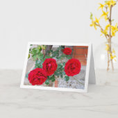 Levendige bloemenrode rozen kaart (Gele Bloem)
