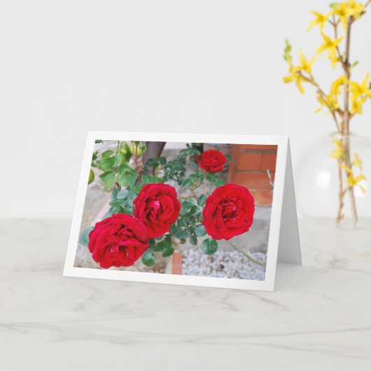 Levendige bloemenrode rozen kaart (Gele Bloem)