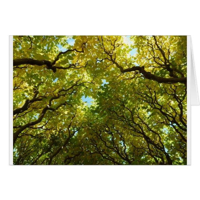 Levendige boomkaart (Voorkant Horizontaal)