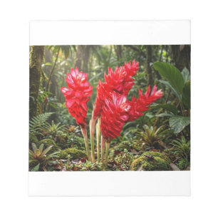 Levendige Botanische Gember Bloem Koffiemok Notitieblok