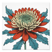 Levendige Chrysanthemum Splendor Foto Afdruk (Voorkant)