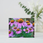 Levendige coneflowers briefkaart (Staand voorkant)