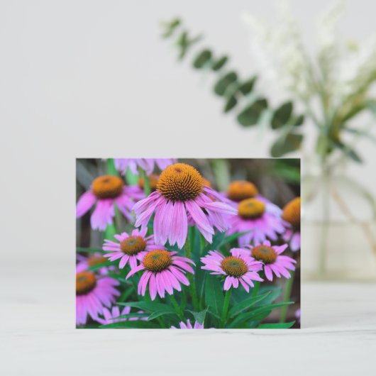 Levendige coneflowers briefkaart (Staand voorkant)