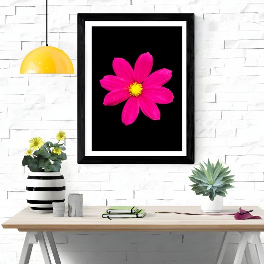 Levendige Cosmos Burst Foto Afdruk