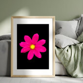 Levendige Cosmos Burst Foto Afdruk