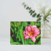Levendige dag lelie bloem briefkaart (Staand voorkant)