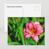 Levendige dag lelie bloem briefkaart (Voorkant / Achterkant)