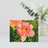 Levendige daglelie bloemen briefkaart (Staand voorkant)