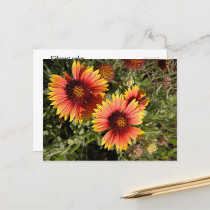 Levendige deken bloemen briefkaart