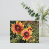Levendige deken bloemen briefkaart (Staand voorkant)